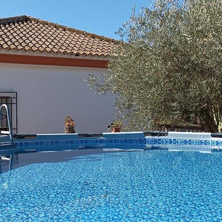 Villa Oasis Los Gallardos Zewnętrze zdjęcie